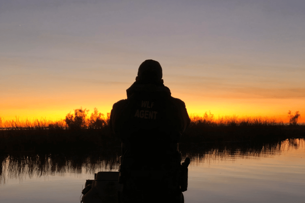 person looking out at louisiana marsh at sunset