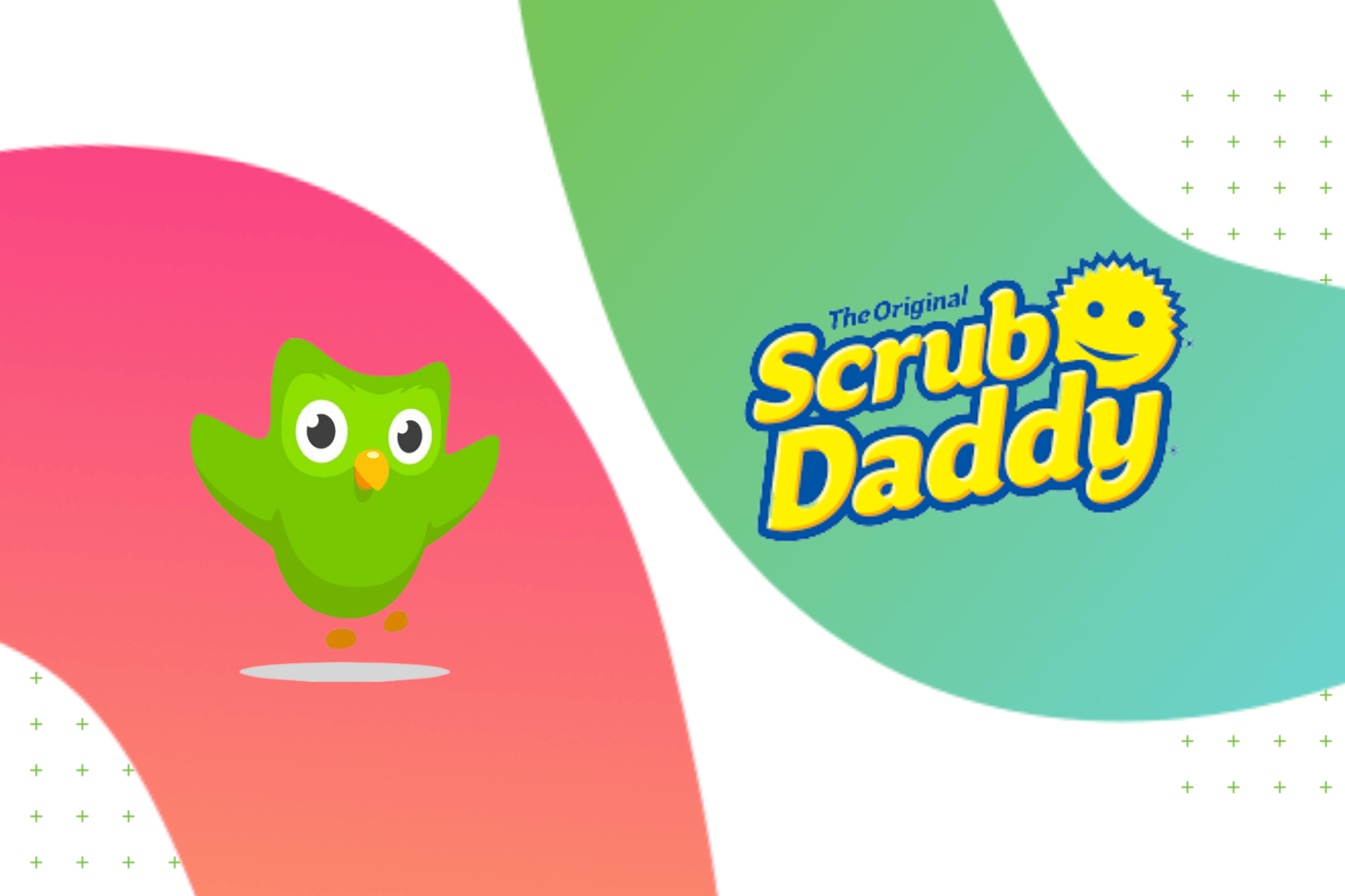 Scrub daddy duolingo sponge