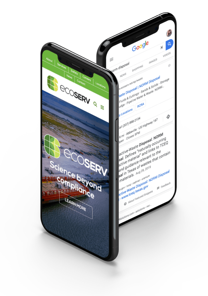 Ecoserv Google Paid Ads & Mobile Design