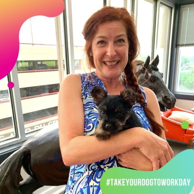 One benefit of working from home - every day is #TakeYourDogtoWorkDay!😍 

Even when we're in the office, we love having our adorable canine coworkers around! 🐶🐕🐩🐾